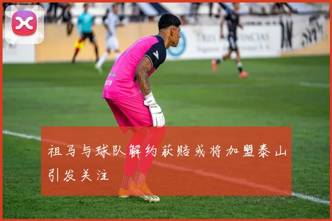 祖马与球队解约获赔或将加盟泰山引发关注
